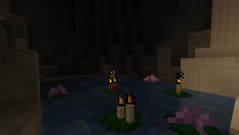 Library – Lotus