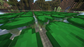Many Lily Pads