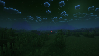 Night Time