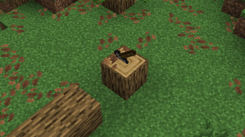 An oak log with a stone axe in it