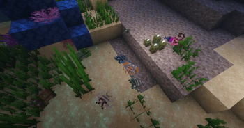 Trilobites