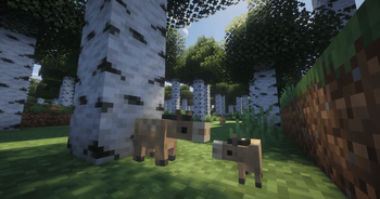 Dawn Horses