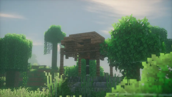 Jungle Well
