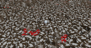 /cows