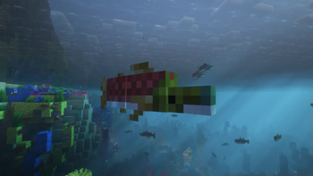 Look, a salmon!