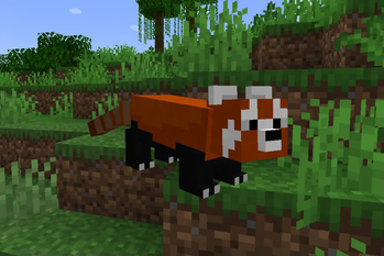 Red Panda