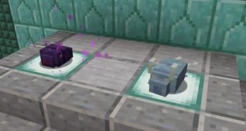 Endermites & Silverfish!