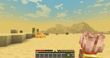 Desert