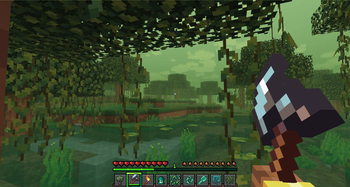 Swamp
