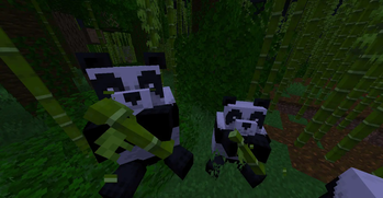 Panda Bamboo!