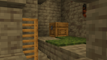 Pewen Chest + Ladders