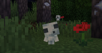 Kodama