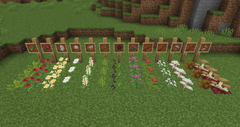 New herbs