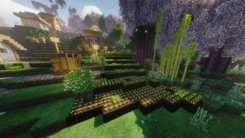 Farm