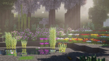 Pond
