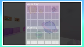 Chest