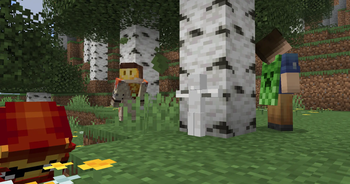 Blended with the birches