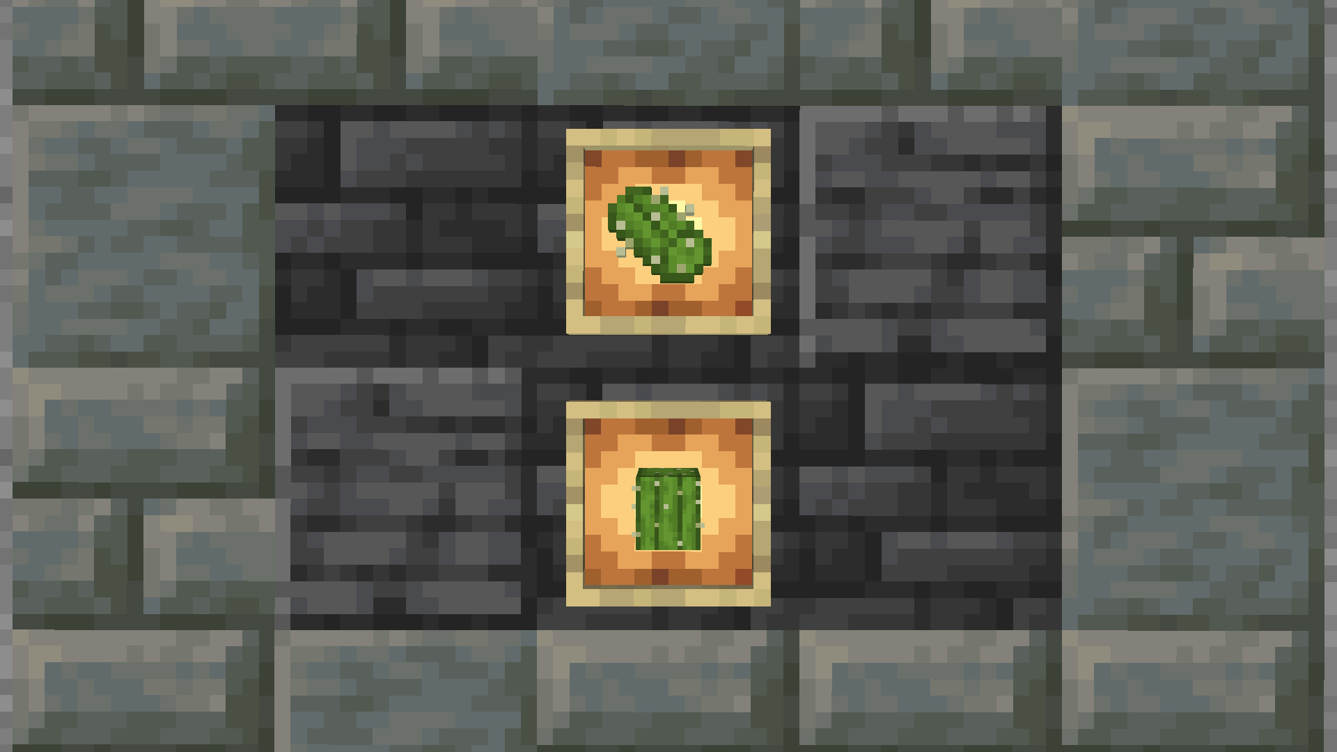 Showcase