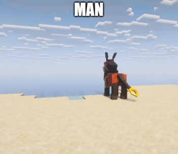 MAN