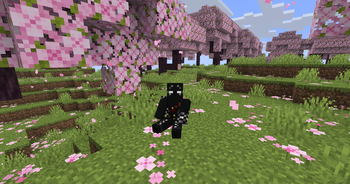 Sited Player