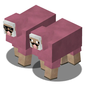 Pink Sheep