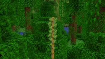 Jungle