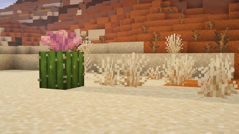 Desert