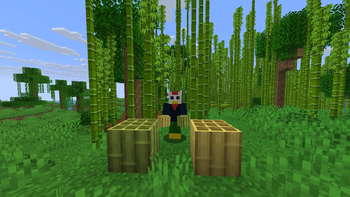 A player with the new bamboo blocks