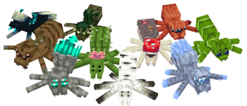 Spider Spread