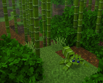 Jungle Spiders
