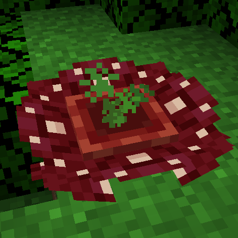 Rafflesia