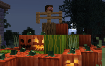 Pumpkins