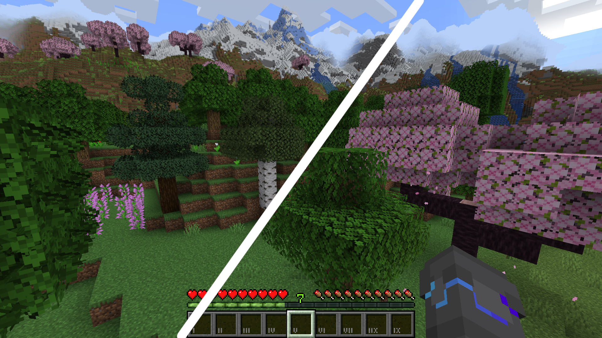 Comparing Leaves