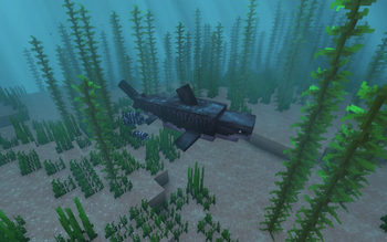 Tiger Shark