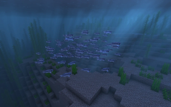 School of Sardines