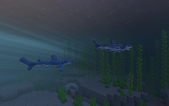 Mako Shark & Blue Shark