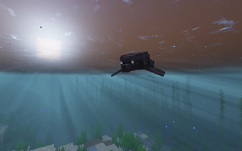 Sea Lion