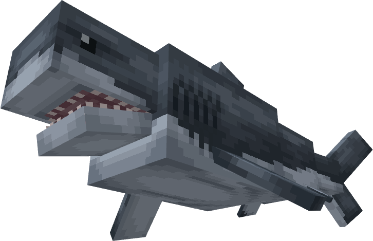 Great White Shark