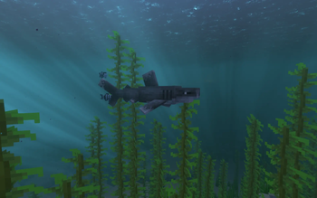 Oceanic Whitetip Shark