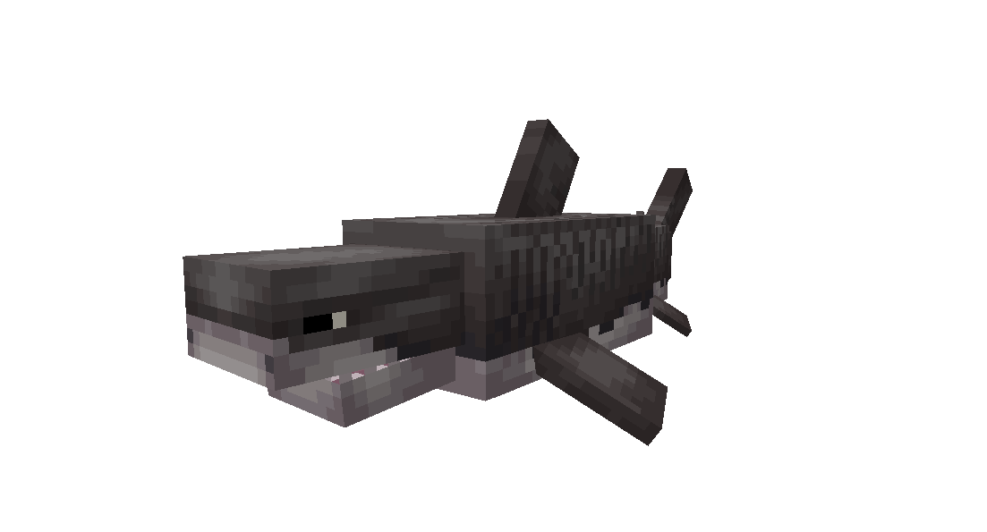 Tiger Shark GIF