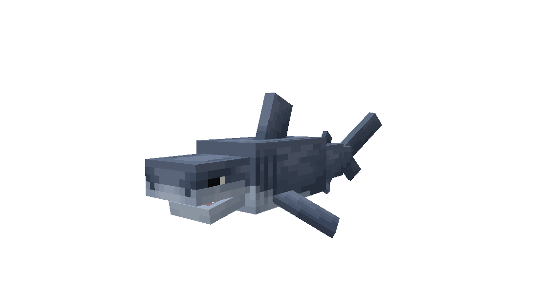 Bull Shark GIF