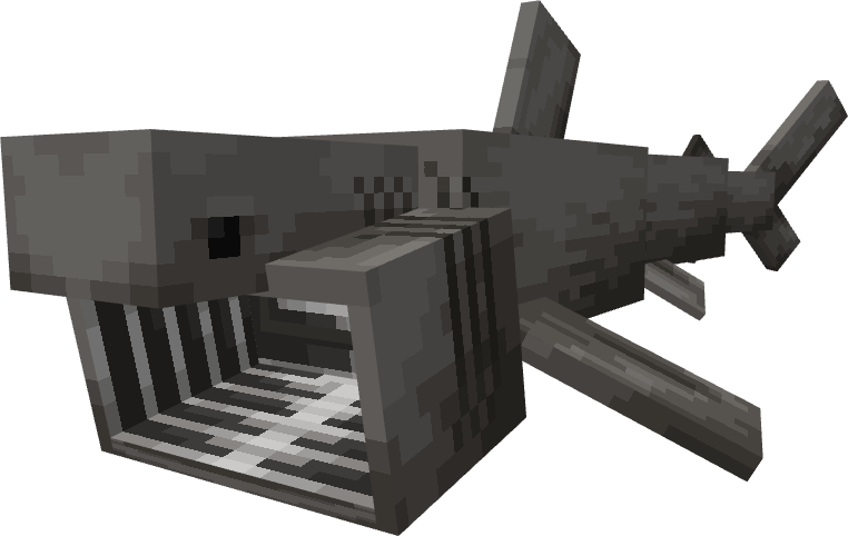 Basking Shark