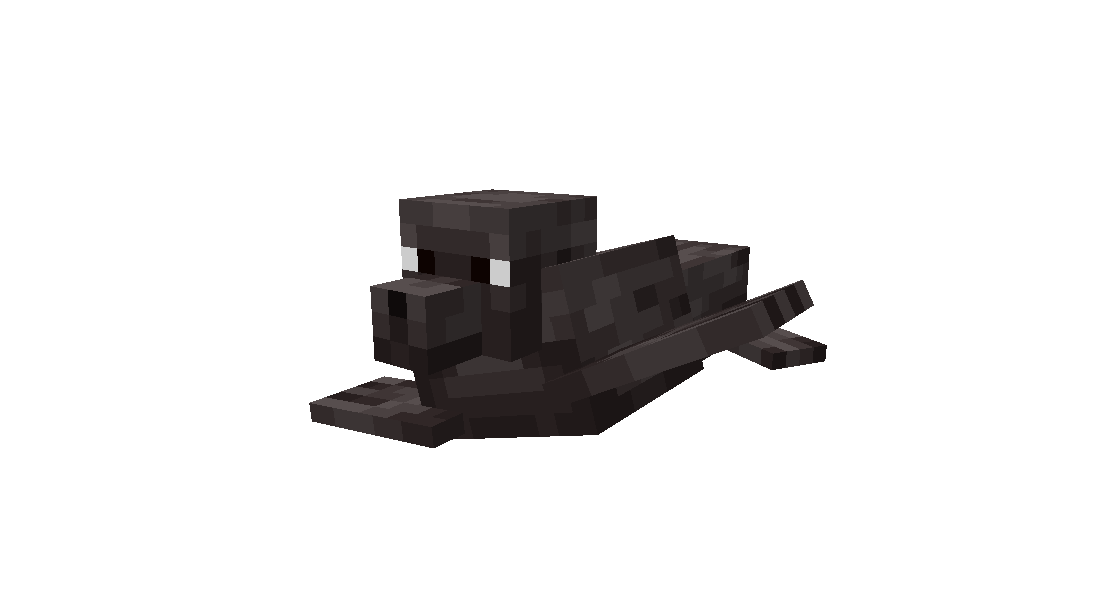 Sea Lion Dancing