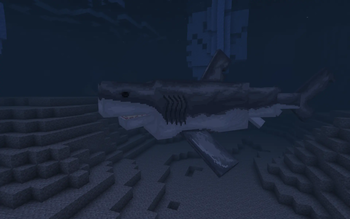 Megalodon