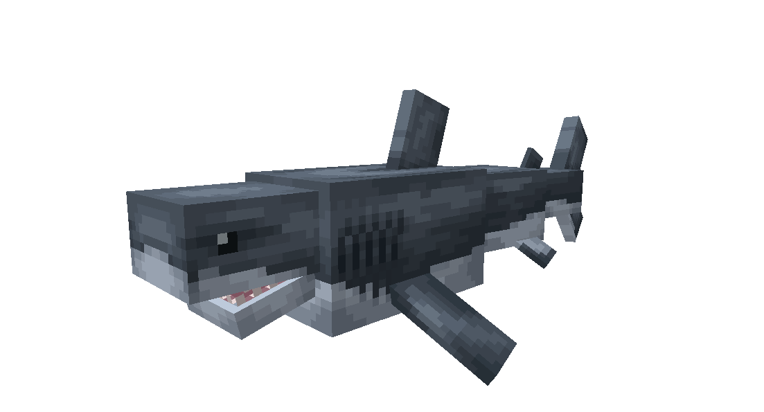 Great White Shark GIF