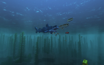 Bull Shark