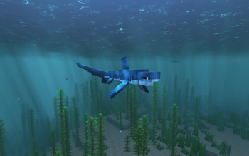 Thresher Shark