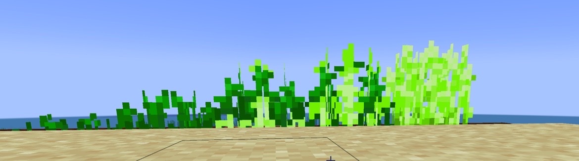 Rice Plants