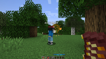 With version 1.2.2, inside a server world