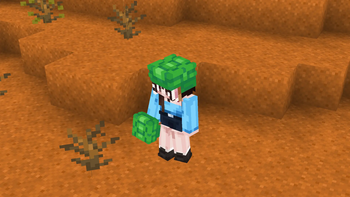 Turtle Helmet
